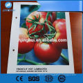 Economic 85cm*200cm size custom pvc sheet banner roll up stand